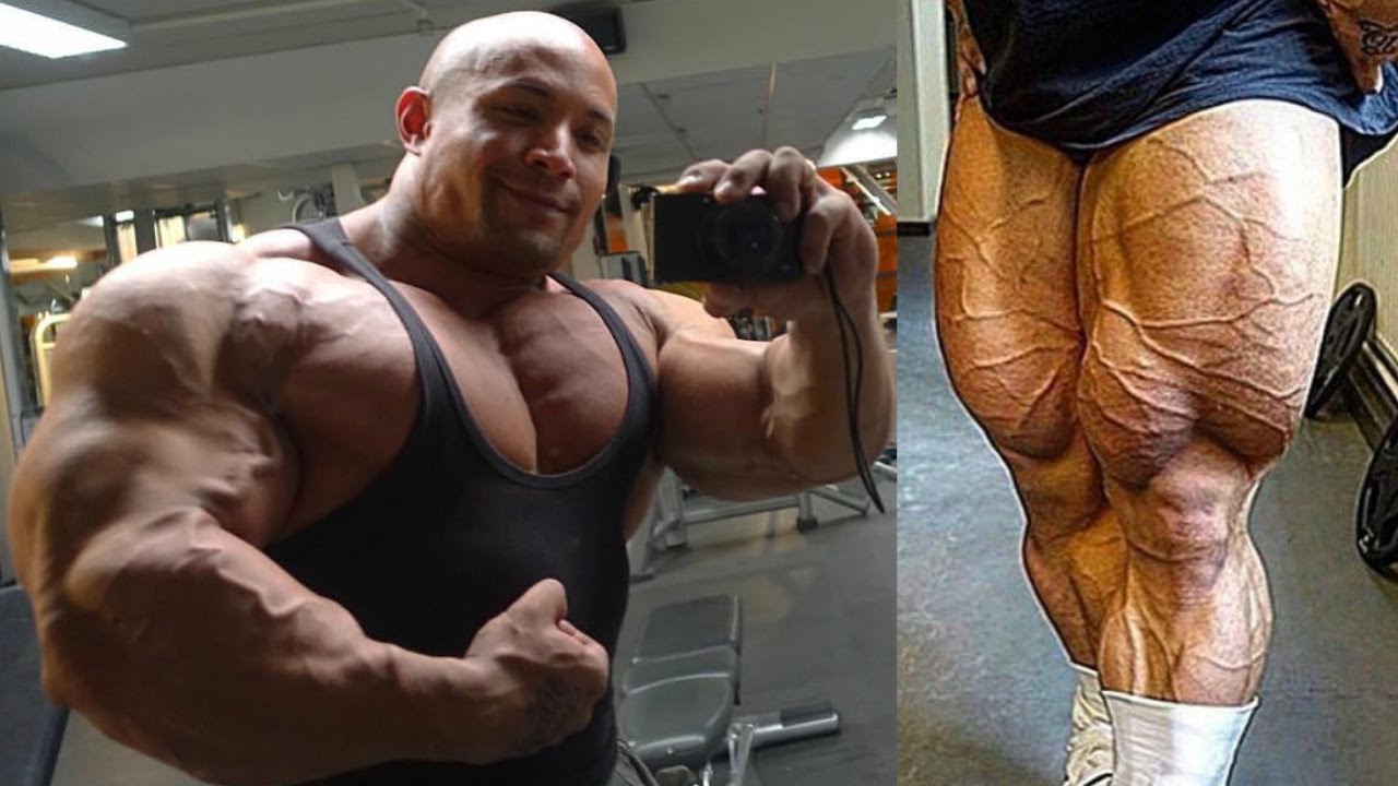 Masa muscular y adquisición de enfermedades - Jorge Roig Masa muscular y adquisición de enfermedades - Jorge Roig