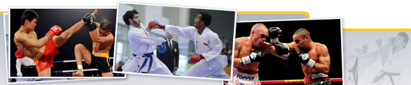 Análisis y desarrollo técnico-táctico en los deportes de combate
