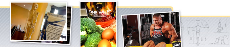 Taller de Antropometría, Nutrición y Entrenamiento para la Hipertrofia