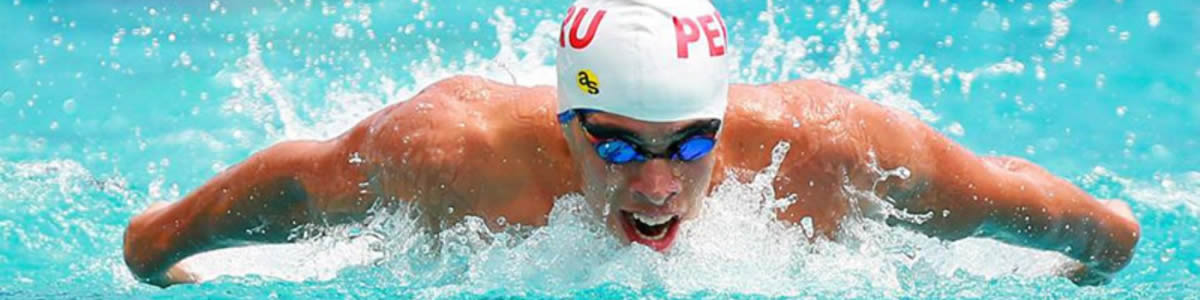 Curso de Entrenamiento de la Fuerza, Prevención de Lesiones, Velocidad y Flexibilidad en Natación