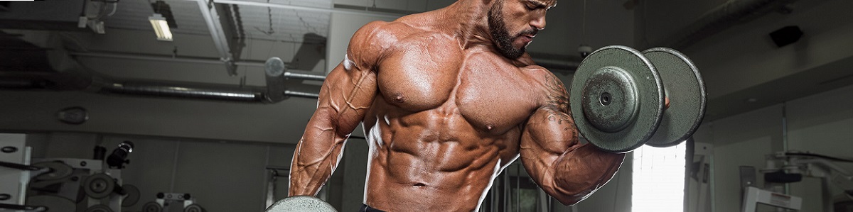 Curso Intensivo de Programación de Hipertrofia Muscular