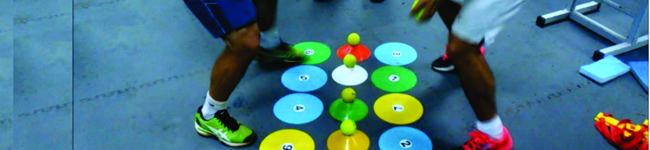 Neurociencias Aplicadas al Movimiento - Modelo de Intervención Multisensorial (MIMuS)