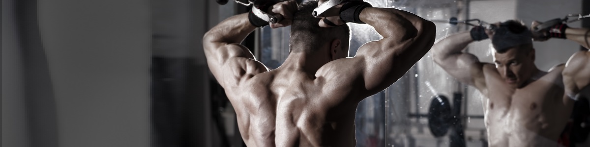 Cluster Training: Organización para Hipertrofia Muscular