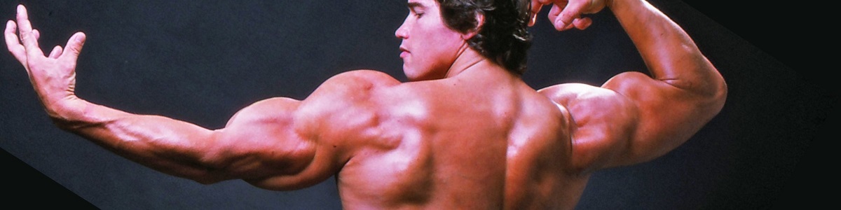 Curso Intensivo de Especialista Hipertrofia Muscular