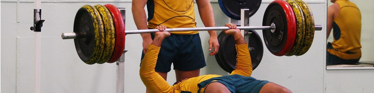 Especialista en el Entrenamiento de la Fuerza en el Deporte