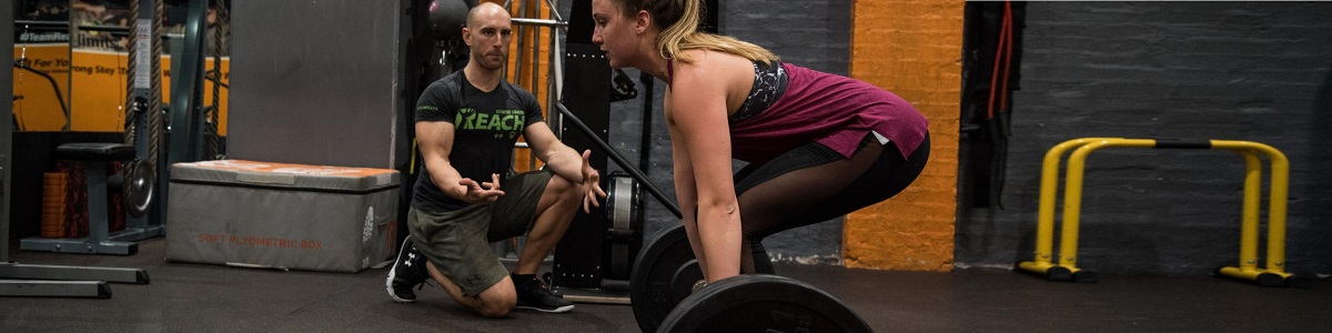 Curso Intensivo de Selección de Ejercicios en Sala de Musculación