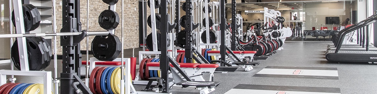 Curso en Creación y Gestión de Centros Especializados de Entrenamiento