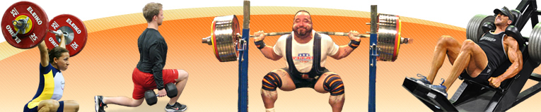 Taller Práctico de Metodología y Planificación del Entrenamiento de la Fuerza