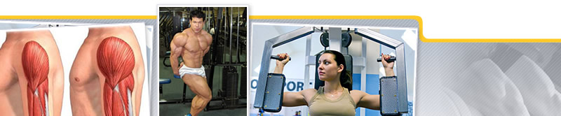Webinar de Entrenamiento: Hipertrofia Para Avanzados. Una Visión Entre la Ciencia y la Pseudociencia