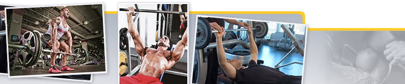 Webinar de Entrenamiento de Hipertrofia del Tren Superior: Biomecánica, Electromiografía, Ejemplificación y Estrategias Para Desarrollar el “Eslabón” Débil