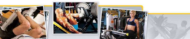 Webinar de Entrenamiento de Hipertrofia del Tren Inferior: Biomecánica, Electromiografía. Propuestas de Programación