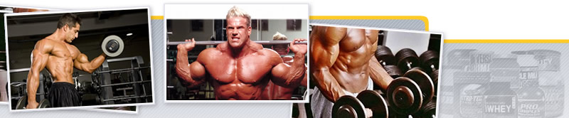 Webinar de Suplementación para la Estética Corporal. Primera Parte: Hipertrofia Muscular