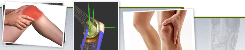 Webinar de Biomecánica y Anatomía Funcional de la Rodilla