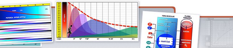 Webinar del Plano DIPER. Sus zonas y sus Adaptaciones