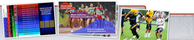Webinar de Entrenamiento de la Fuerza y su Integración en el Modelo DIPER