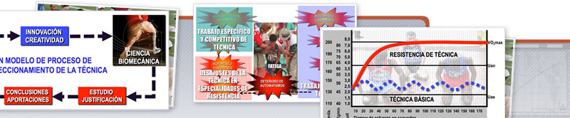 Webinar de Entrenamiento de la Técnica y su Integración en el Modelo DIPER