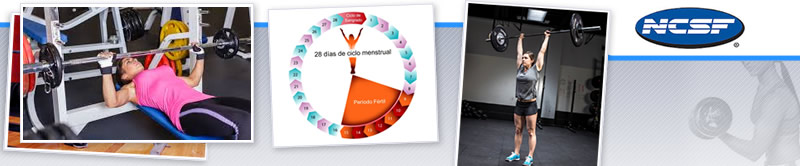 Webinar de Ciclo Menstrual y Entrenamiento de la Fuerza