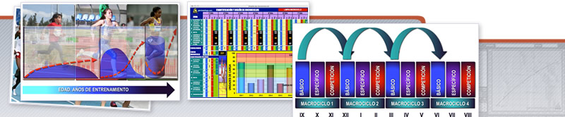 Webinar de la Planificación y la Programación del Entrenamiento Basada en el Modelo DIPER