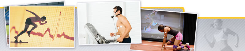 Taller de Metodología de la Investigación en Ciencias del Deporte
