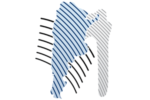 Asociación Argentina de Hombro y Codo