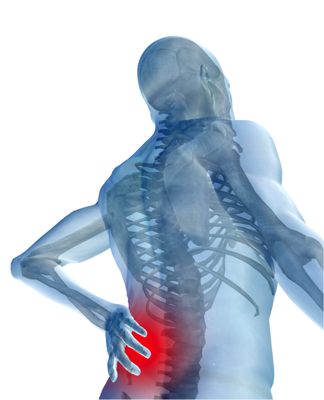 Core-training Y Dolor Lumbar - Instituto Internacional De Ciencias Del ...