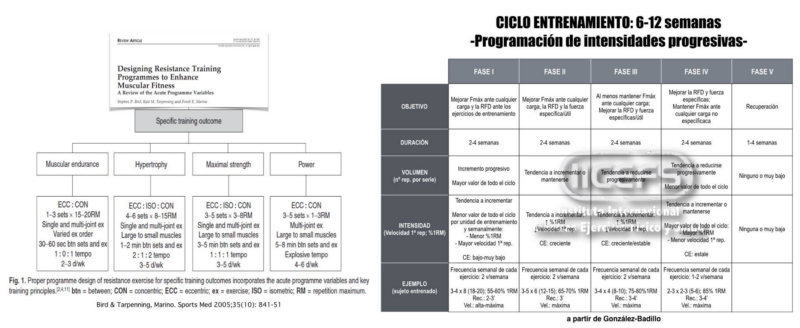 Modelos de programación del entrenamiento de la fuerza: tradición vs actualidad