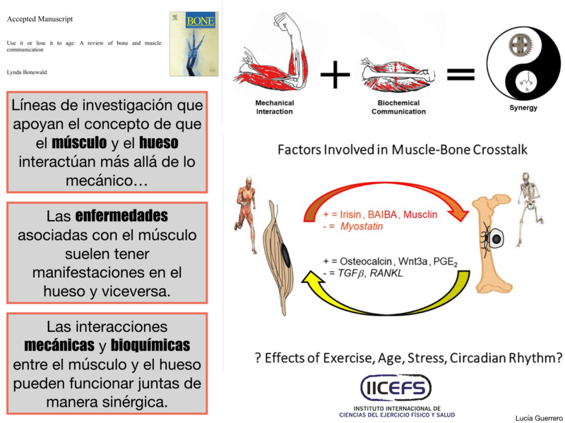 caracteristicas del la osteoporosis caracteristicas del la osteoporosis