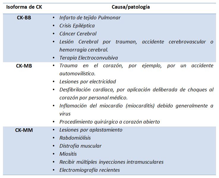 Cpk elevada por ejercicio