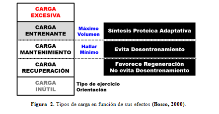 Resultado de imagen para tipos de carga de ejercicio