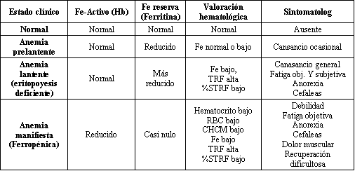 Que es la ferritina valores normales