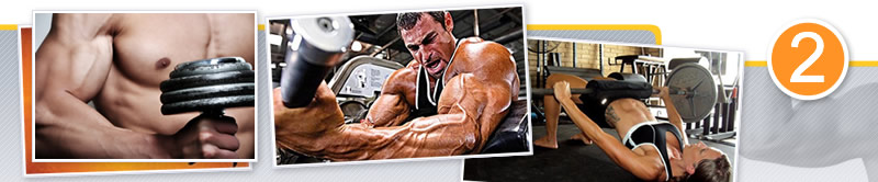 Primer Simposio Internacional de Hipertrofia. Simposio 2: Hipertrofia - del Laboratorio a la Sala de Musculación