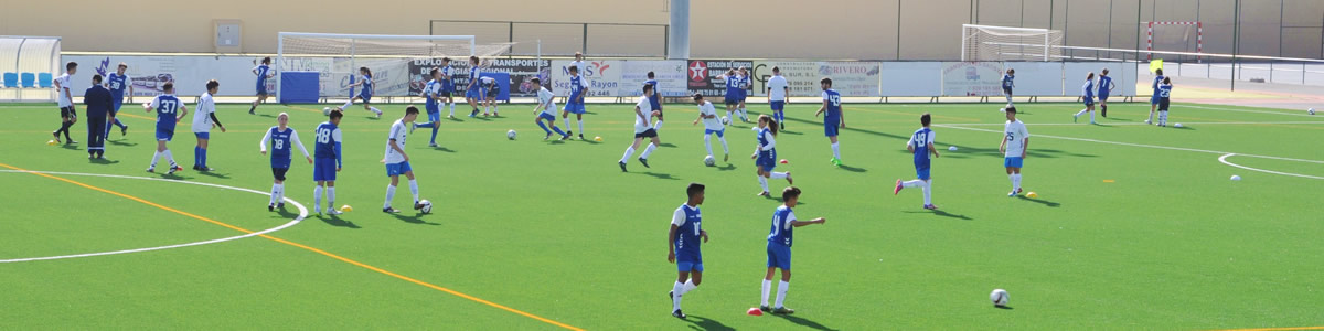 Curso de Evaluación del Jugador de Fútbol en el Entrenamiento