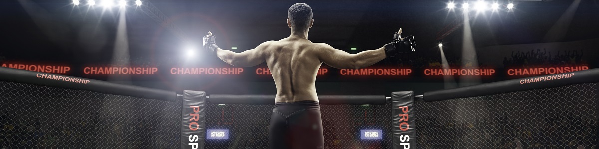 Diplomado en Entrenamiento en Deportes de Combate