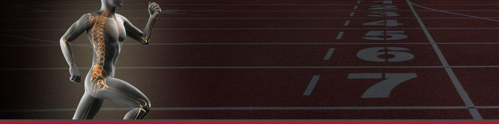 Curso Inicial de Actualización en Traumatología del Deporte