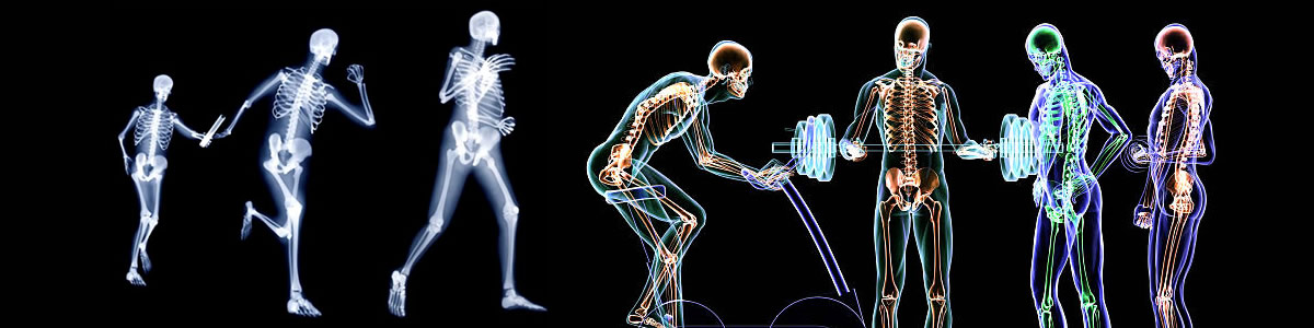 Neurociencias y Motricidad Humana