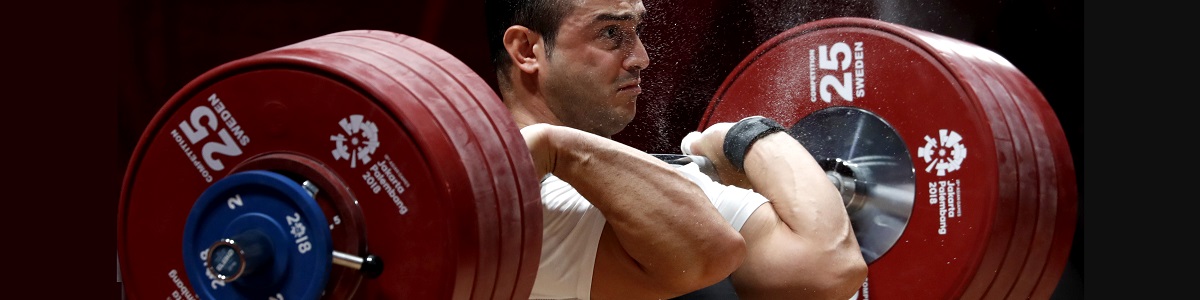 Curso en Bases Teóricas del Entrenamiento de la Fuerza