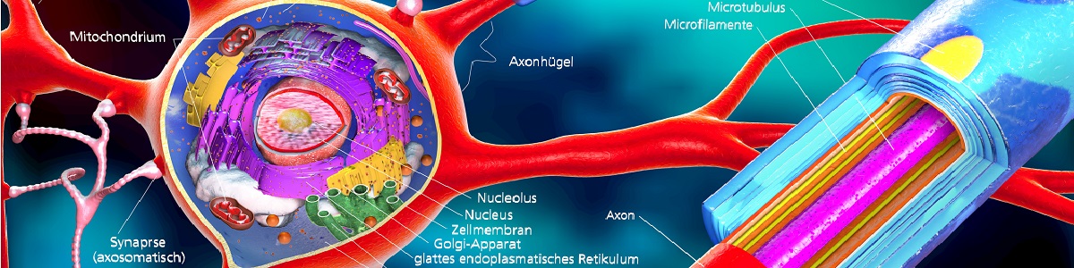 Especialización en Fisiología del Ejercicio