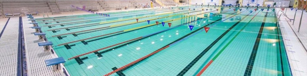 Curso en Programación del Entrenamiento en Natación