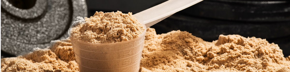 Course on Proteins, Metabolism and Sport Performance