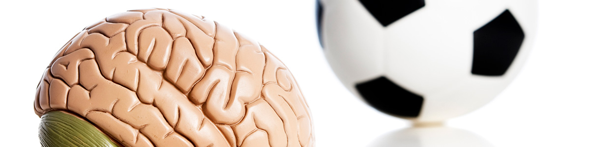 Curso de Neurociencia Aplicada a la Mejora del Rendimiento Deportivo