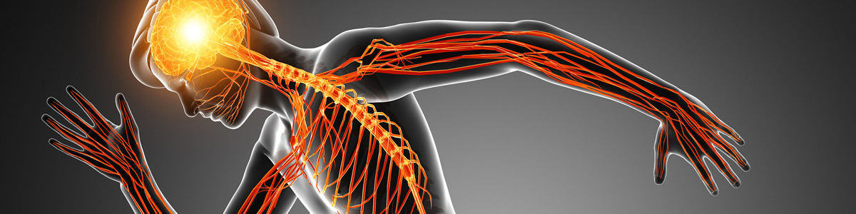 Curso de Neurociencias Aplicada a la Mejora del Rendimiento Deportivo