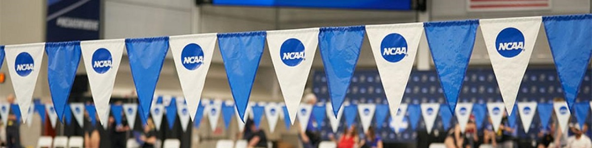 Curso "El Plan de Entrenamiento con diferentes visiones en NCAA"