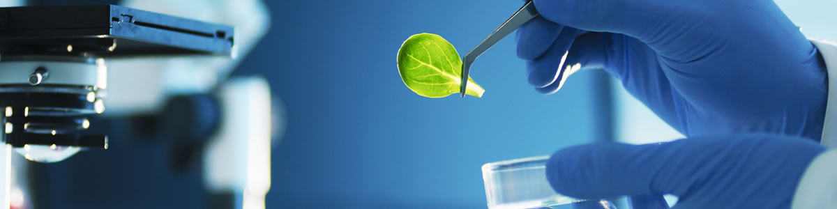 Curso en Terapéutica Ortomolecular en Deporte y Estética