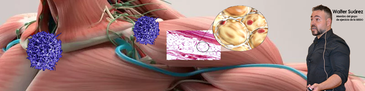 Curso en Fisiología del Tejido Adiposo, Sistema Muscular, Hueso y del Sistema Inmune - con Walter Suárez
