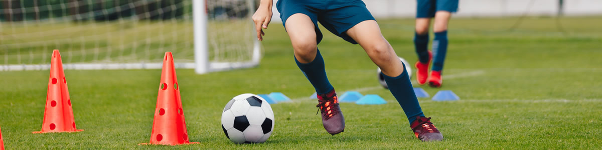 Curso de Especialización en Entrenamiento de Velocidad y Agilidad en Deportes de Equipo