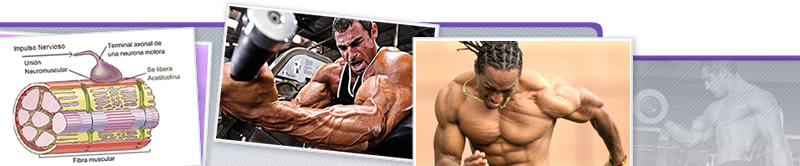 Webinar de Estatus Muscular: ¿Cómo Puede Ser Modificado?