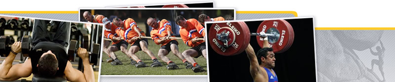 Webinar de Entrenamiento de la Fuerza para las Diferentes Modalidades Deportivas. Rendimiento Deportivo