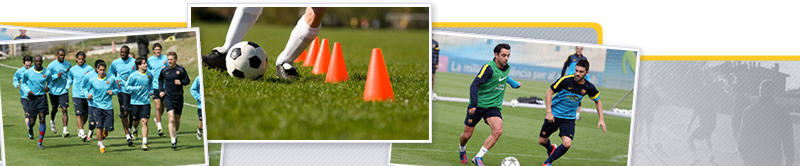 Webinar de Entrenamiento y Creación de Tareas en Fútbol Desde las Ciencias de la Complejidad y los Sistemas Dinámicos