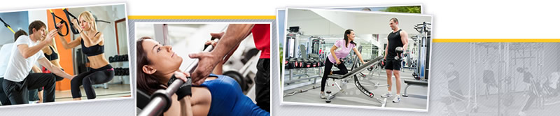 Webinar de Bases Anatómicas y Fisiológicas del Organismo Aplicados a Entrenamiento en Sala de Fitness