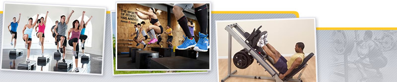 Webinar de Anatomía y Biomecánica del Tren Inferior. Aplicación Al Entrenamiento en Sala de Fitness
